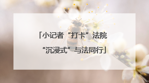 小记者“打卡”法院 “沉浸式”与法同行