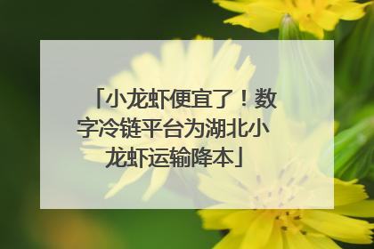 小龙虾便宜了！数字冷链平台为湖北小龙虾运输降本