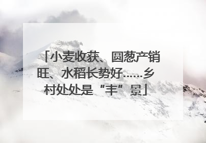 小麦收获、圆葱产销旺、水稻长势好……乡村处处是“丰”景