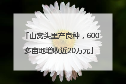 山窝头里产良种，600多亩地增收近20万元