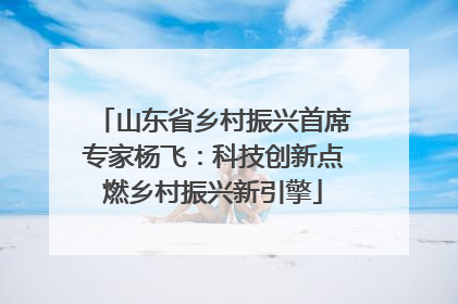 山东省乡村振兴首席专家杨飞：科技创新点燃乡村振兴新引擎
