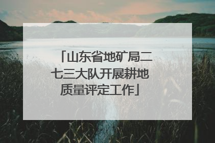 山东省地矿局二七三大队开展耕地质量评定工作