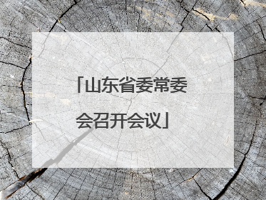 山东省委常委会召开会议