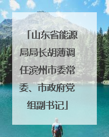 山东省能源局局长胡薄调任滨州市委常委、市政府党组副书记