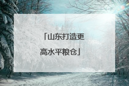 山东打造更高水平粮仓