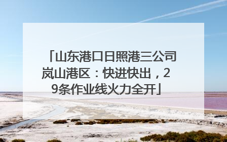 山东港口日照港三公司岚山港区：快进快出，29条作业线火力全开