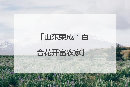 山东荣成：百合花开富农家
