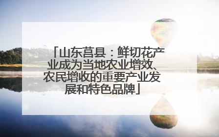 山东莒县：鲜切花产业成为当地农业增效、农民增收的重要产业发展和特色品牌