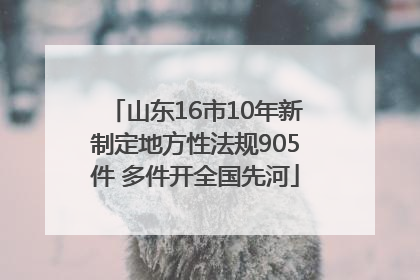 山东16市10年新制定地方性法规905件 多件开全国先河