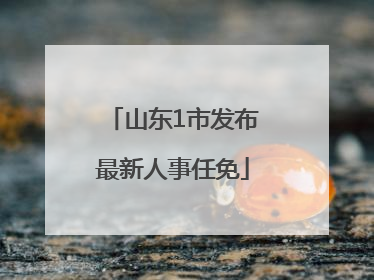 山东1市发布最新人事任免