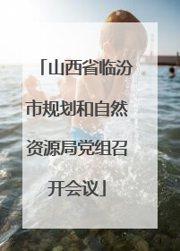 山西省临汾市规划和自然资源局党组召开会议
