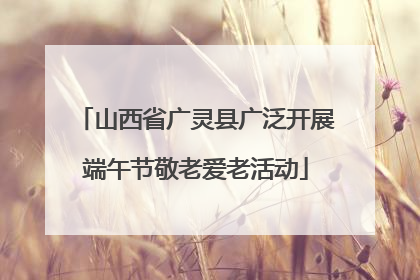 山西省广灵县广泛开展端午节敬老爱老活动