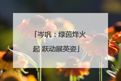 岑巩：绿茵烽火起 跃动展英姿