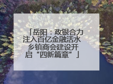 岳阳：政银合力注入百亿金融活水 乡镇商会建设开启“四新篇章”