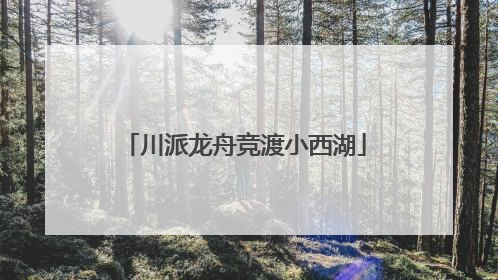 川派龙舟竞渡小西湖