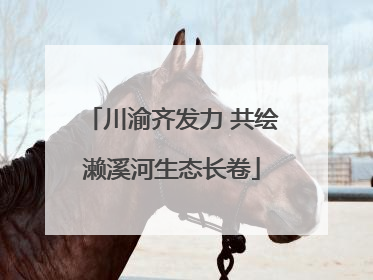 川渝齐发力 共绘濑溪河生态长卷