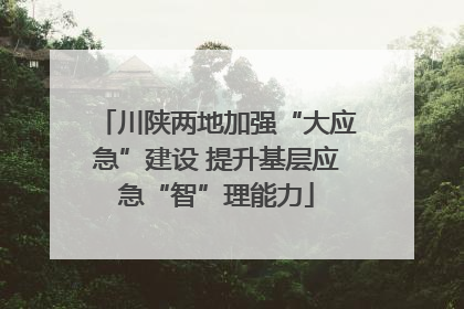 川陕两地加强“大应急”建设 提升基层应急“智”理能力