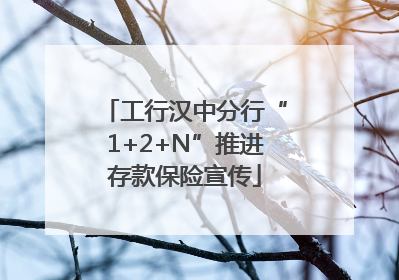 工行汉中分行“1+2+N”推进存款保险宣传