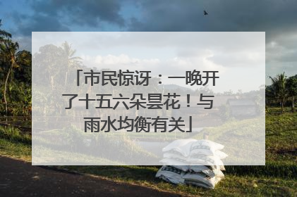 市民惊讶：一晚开了十五六朵昙花！与雨水均衡有关
