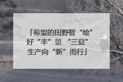 希望的田野智“绘”好“丰”景 “三夏”生产向“新”而行