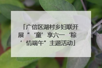 广信区湖村乡妇联开展“‘童’享六一‘粽’情端午”主题活动