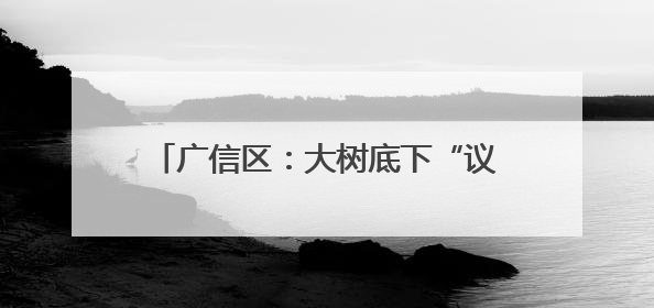 广信区：大树底下“议”出基层治理新图景
