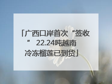 广西口岸首次“签收” 22.24吨越南冷冻榴莲已到货