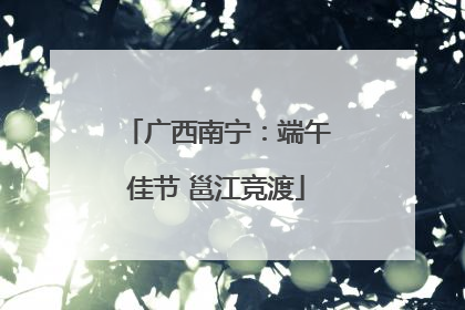 广西南宁：端午佳节 邕江竞渡