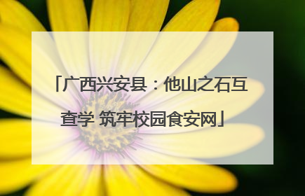 广西兴安县：他山之石互查学 筑牢校园食安网