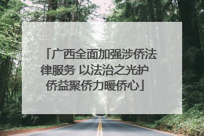 广西全面加强涉侨法律服务 以法治之光护侨益聚侨力暖侨心