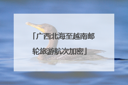 广西北海至越南邮轮旅游航次加密