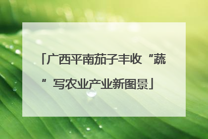 广西平南茄子丰收“蔬”写农业产业新图景