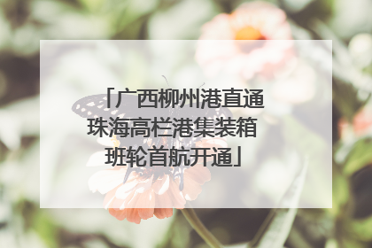 广西柳州港直通珠海高栏港集装箱班轮首航开通
