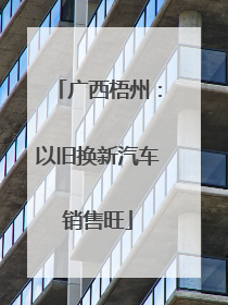 广西梧州：以旧换新汽车销售旺