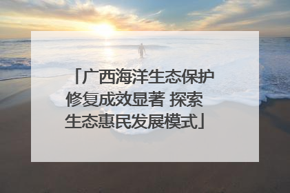 广西海洋生态保护修复成效显著 探索生态惠民发展模式