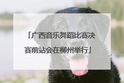 广西音乐舞蹈比赛决赛前站会在柳州举行
