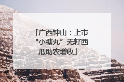广西钟山：上市“小糖丸”无籽西瓜助农增收