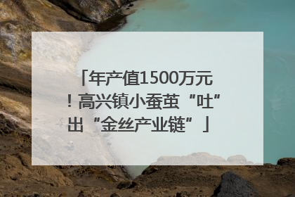 年产值1500万元！高兴镇小蚕茧“吐”出“金丝产业链”