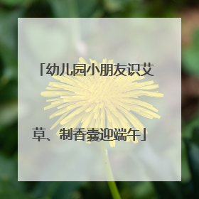 幼儿园小朋友识艾草、制香囊迎端午