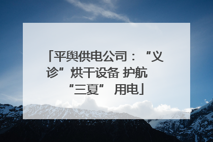 平舆供电公司：“义诊”烘干设备 护航 “三夏” 用电