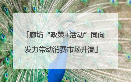 廊坊“政策+活动”同向发力带动消费市场升温