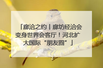 廊洽之约丨廊坊经洽会变身世界会客厅！河北扩大国际“朋友圈”