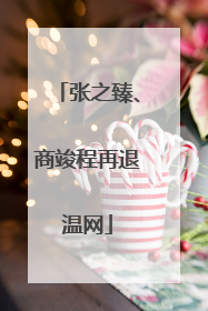 张之臻、商竣程再退温网