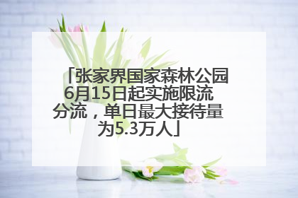 张家界国家森林公园6月15日起实施限流分流，单日最大接待量为5.3万人