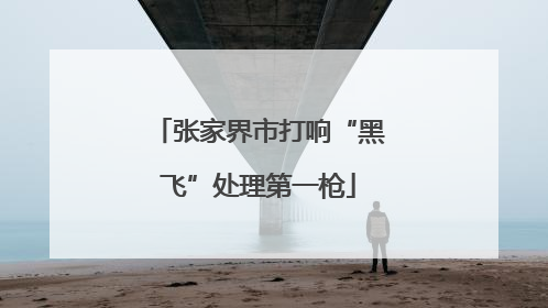 张家界市打响“黑飞”处理第一枪