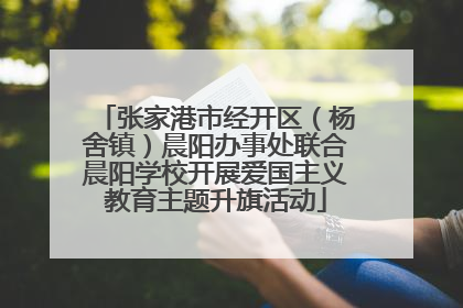 张家港市经开区（杨舍镇）晨阳办事处联合晨阳学校开展爱国主义教育主题升旗活动