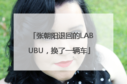 张朝阳退回的LABUBU，换了一辆车