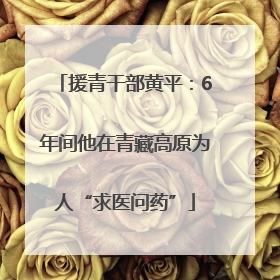 援青干部黄平：6年间他在青藏高原为人“求医问药”