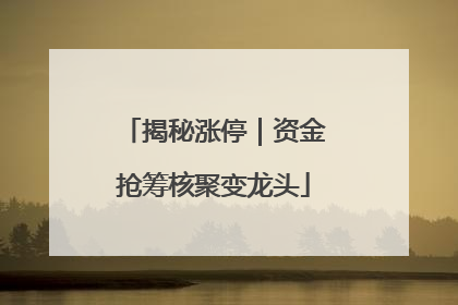 揭秘涨停｜资金抢筹核聚变龙头