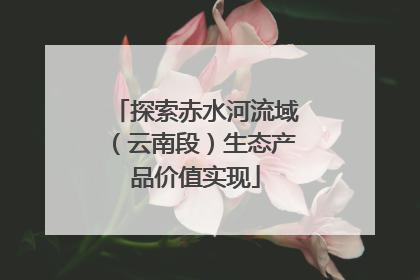 探索赤水河流域（云南段）生态产品价值实现